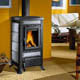 Stove Wood Burn