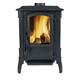 Solid Fuel Stove Devon