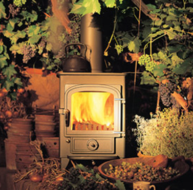 Stove showroom Dawlish Devon